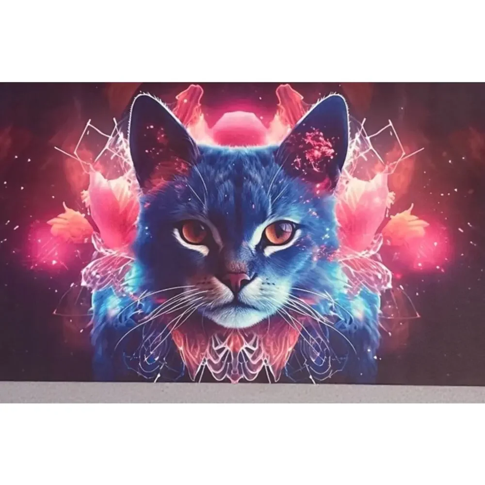 Colorful Cat Floor Doormat Outdoor Indoor Entrance Non Slip Floor Mat 16